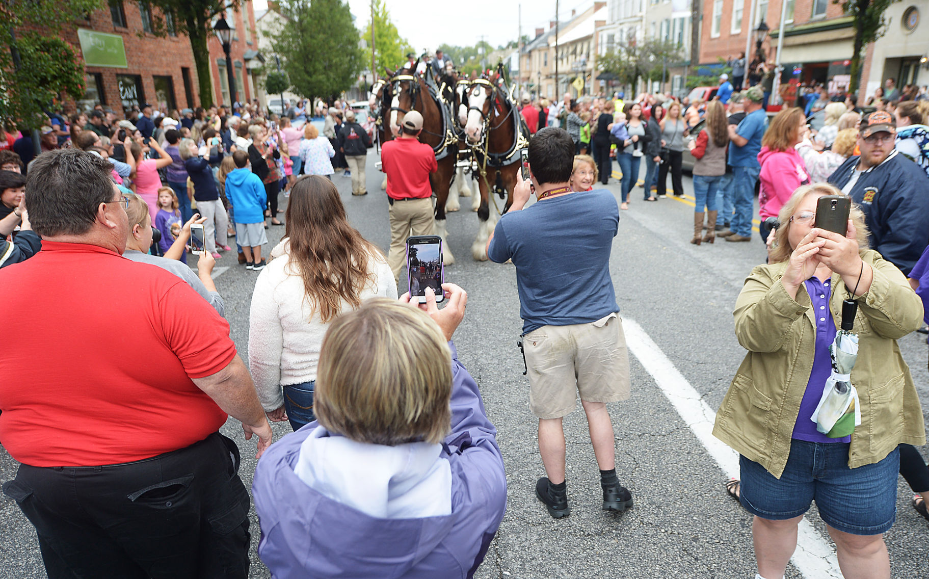 Budweiser Clydesdales Visit Shippensburg